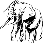 Elephant 2