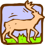 Deer 2