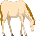 Horse 24