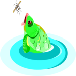 Frog 06