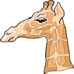 Giraffe 15