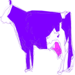Cow 12