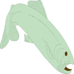 Fish 073