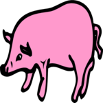 Pig 17