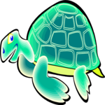 Turtle 9