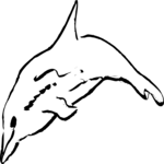 Dolphin 2