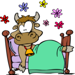 Cow in Bed