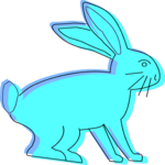 Rabbit 31