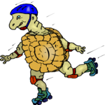 Tortoise Skating