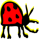 Ladybug 08