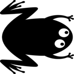 Frog 04