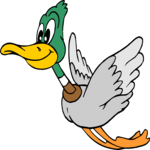 Duck 23