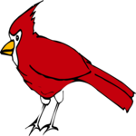 Cardinal 2