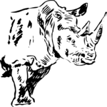 Rhino 3