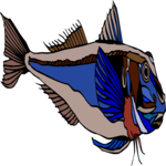 Sea Robin 1