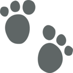 Pawprint 02