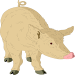 Pig 11