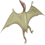 Pterodactylus 4
