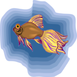 Goldfish 15