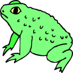 Frog 02