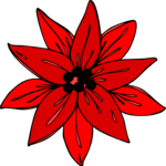 Poinsettia 3