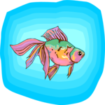 Goldfish 05