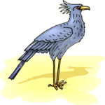 Secretary Bird 1