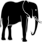 Elephant 8