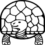 Turtle 10