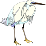 Heron 12