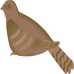 Bird 035