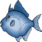 Triggerfish