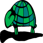 Turtle 05