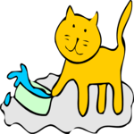 Cat Spilling Water 1