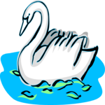Swan 13