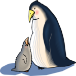 Penguin 17