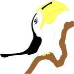 Toucan 1