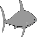 Shark 03