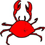 Crab 23