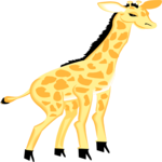 Giraffe 19