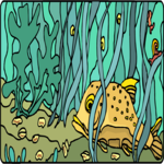 Kelp Forest