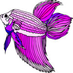 Betta 1