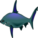 Shark 35