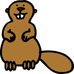 Beaver 1