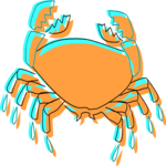 Crab 21