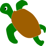 Turtle 11