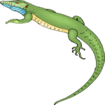 Lizard 34