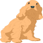 Cocker Spaniel 2