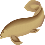 Coelacanth 1