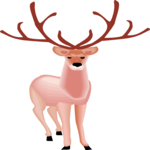 Deer 33